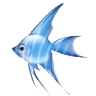 Avatar de Usuario